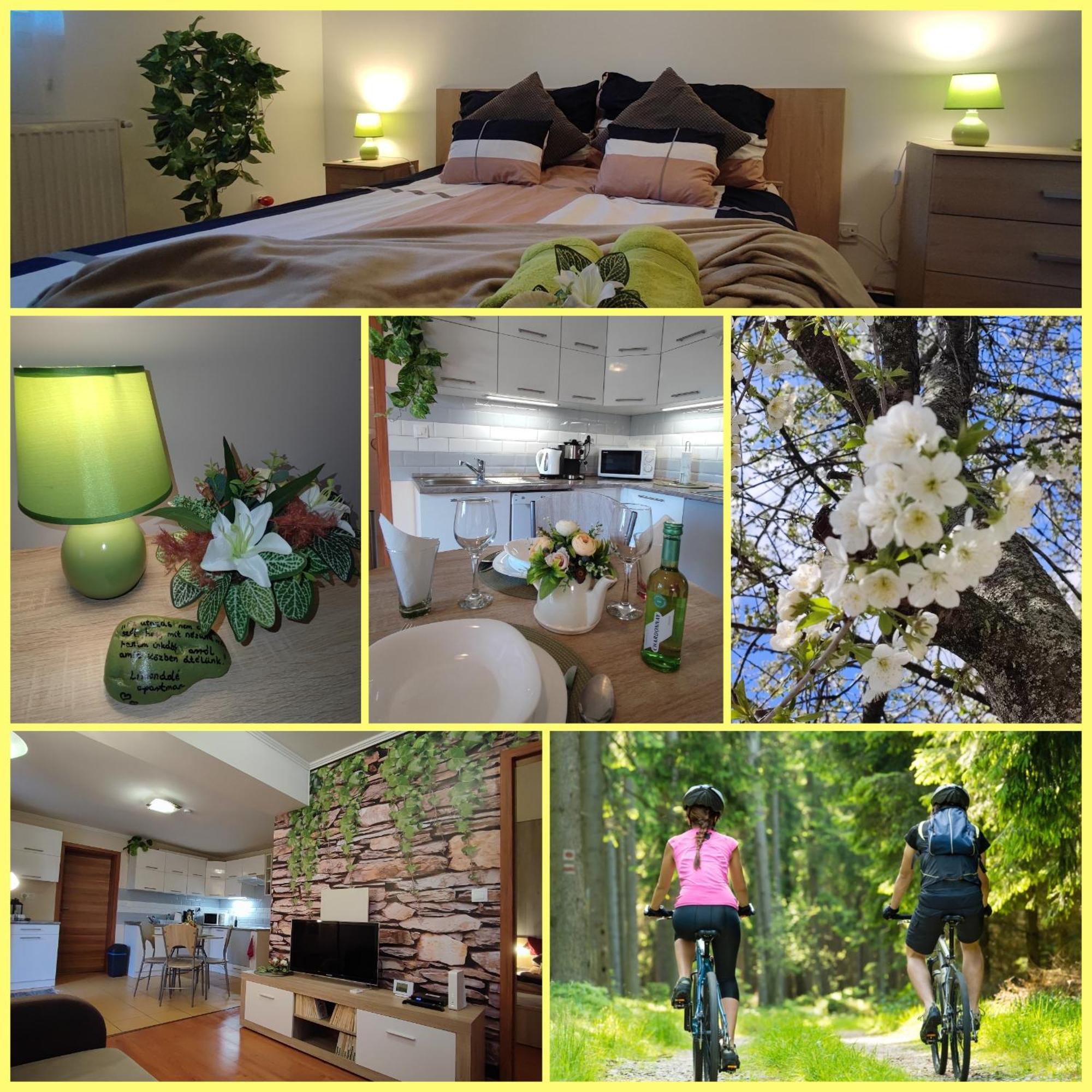 Limonade Apartman Ac Agard Elmenyfuerdo Mellett Gardony Exterior photo