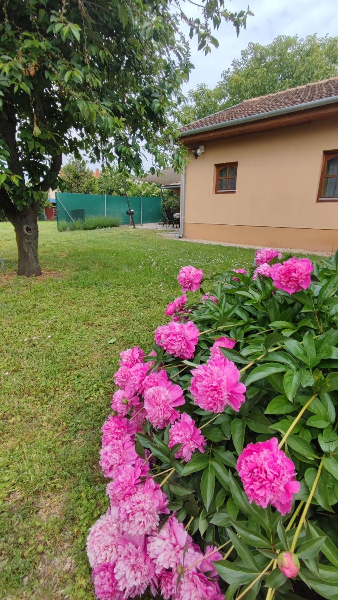 Limonade Apartman Ac Agard Elmenyfuerdo Mellett Gardony Exterior photo